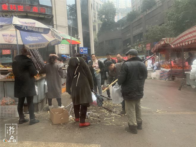 老家趣闻生活的句子_老家的生活趣闻_在老家的趣事400字