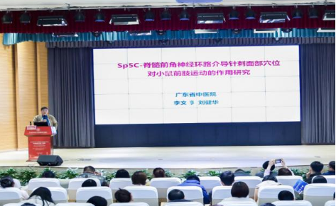 针灸调理亚健康康的优势_针灸治疗亚健康效果好吗_亚健康 针灸