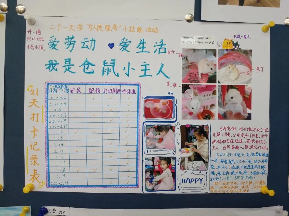 学生活小技能_小学生关于生活技能的作文_生活技能小报告