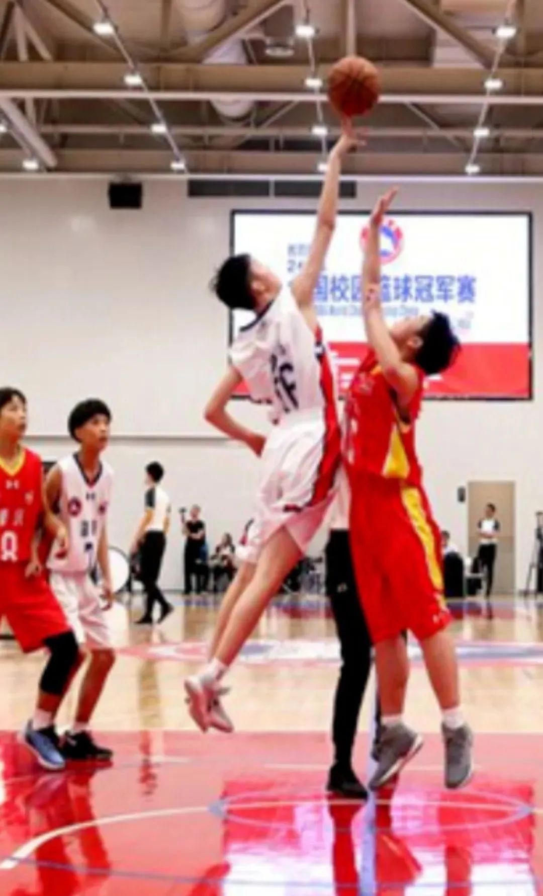 篮球运动员冠军是谁_体育老师篮球队拿冠军_篮球队体育冠军拿老师多少钱
