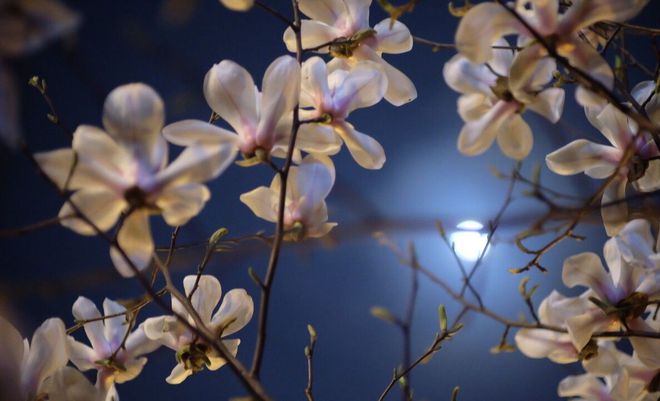 再婚女人的聪明选择_再婚的女人最好的生活方式_再婚女人比较