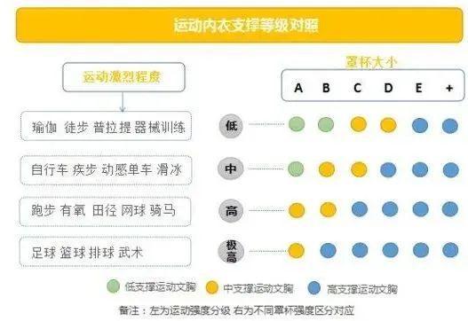 女明星要健身吗_健身明星女神_女生健身明星